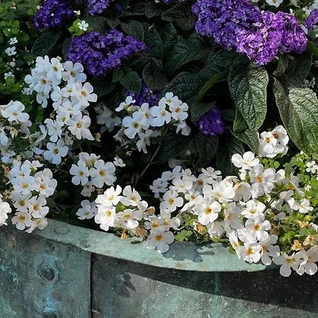 Moonloft@villasolbacka