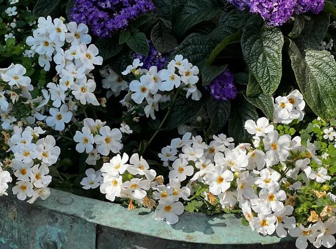 Moonloft@villasolbacka